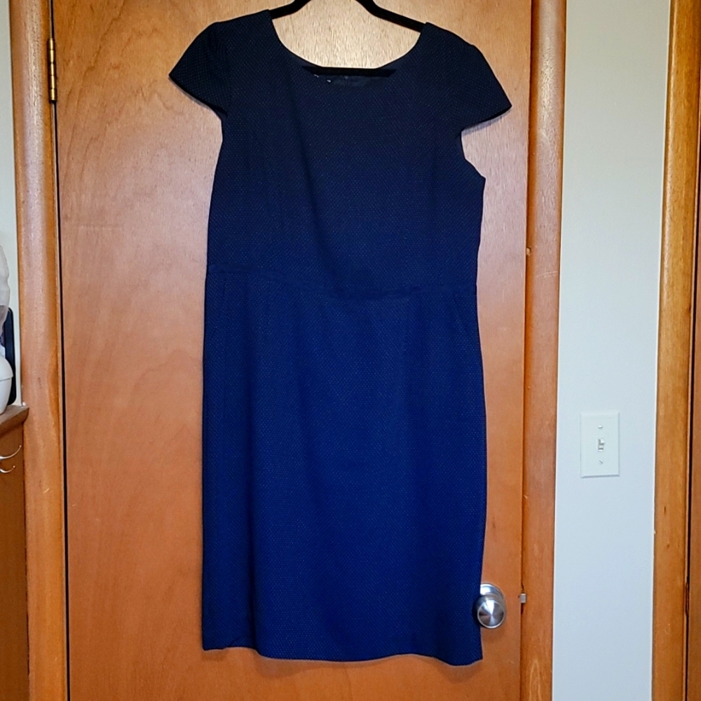 Navy Staple Dress with tiny polka dots